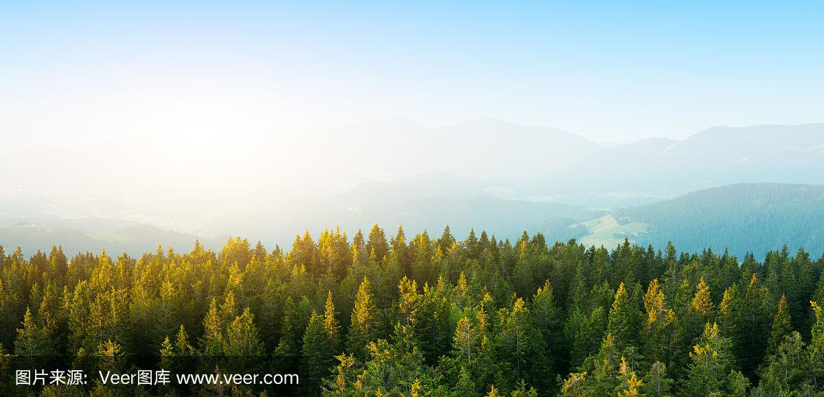 极速、极易、极暖 太平洋车险“太好赔”