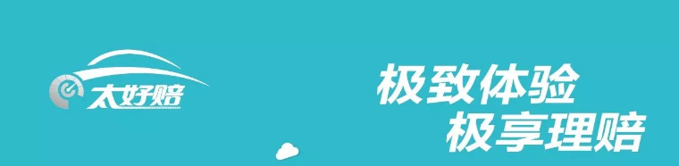 极致体验，极享理赔